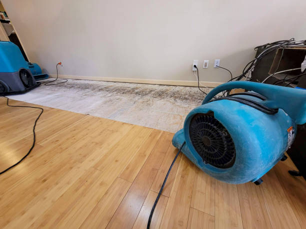 Professional Basement Flood Cleanup technician working in Crowley, TX
